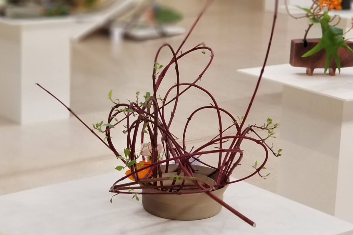 The Art of Ikebana  A Collection of Ikebana Vases & Day of Artful Arr –  Mitchell Sotka